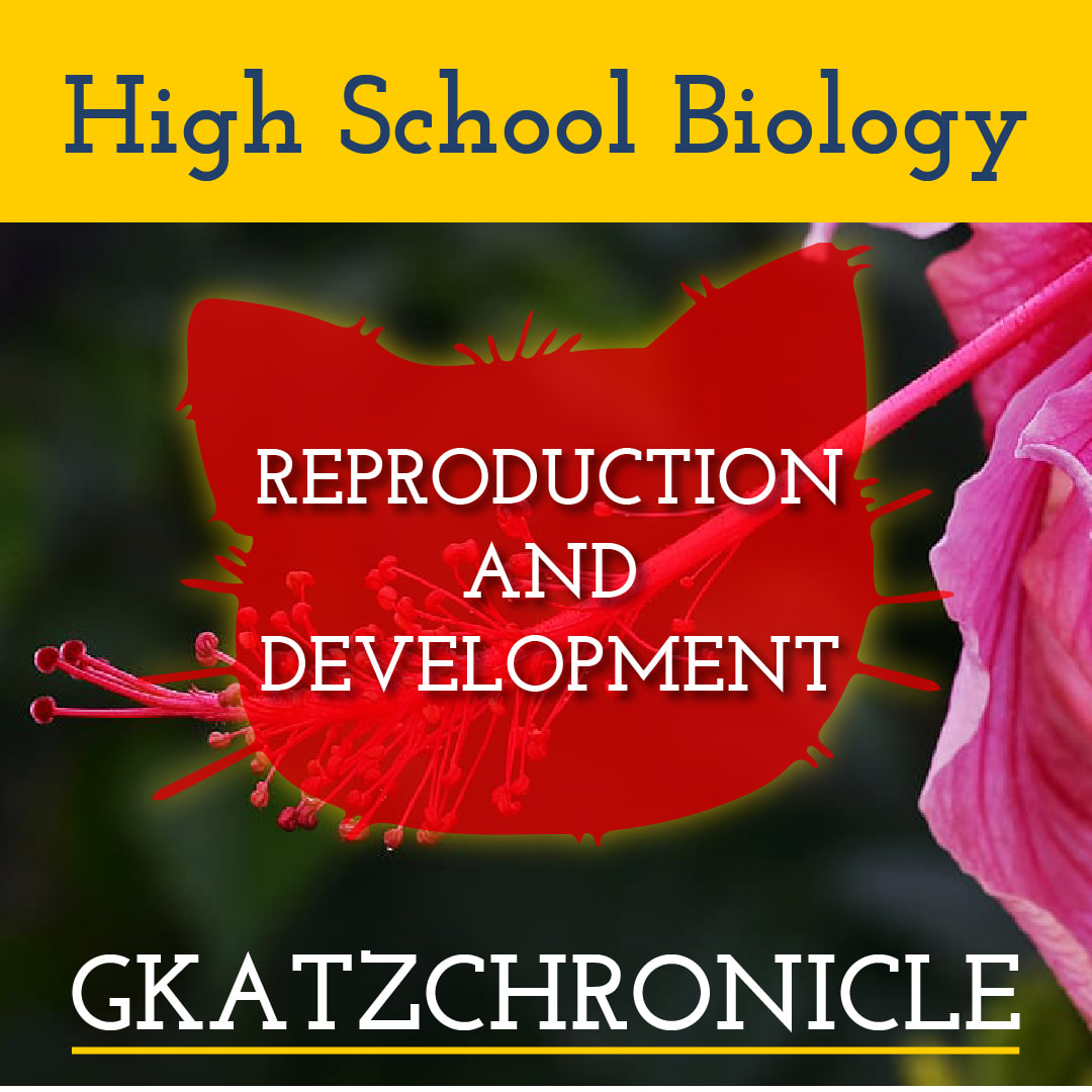 Biology Concepts: Sexual Reproduction (Educational Activities, Inc.) Video  WS
